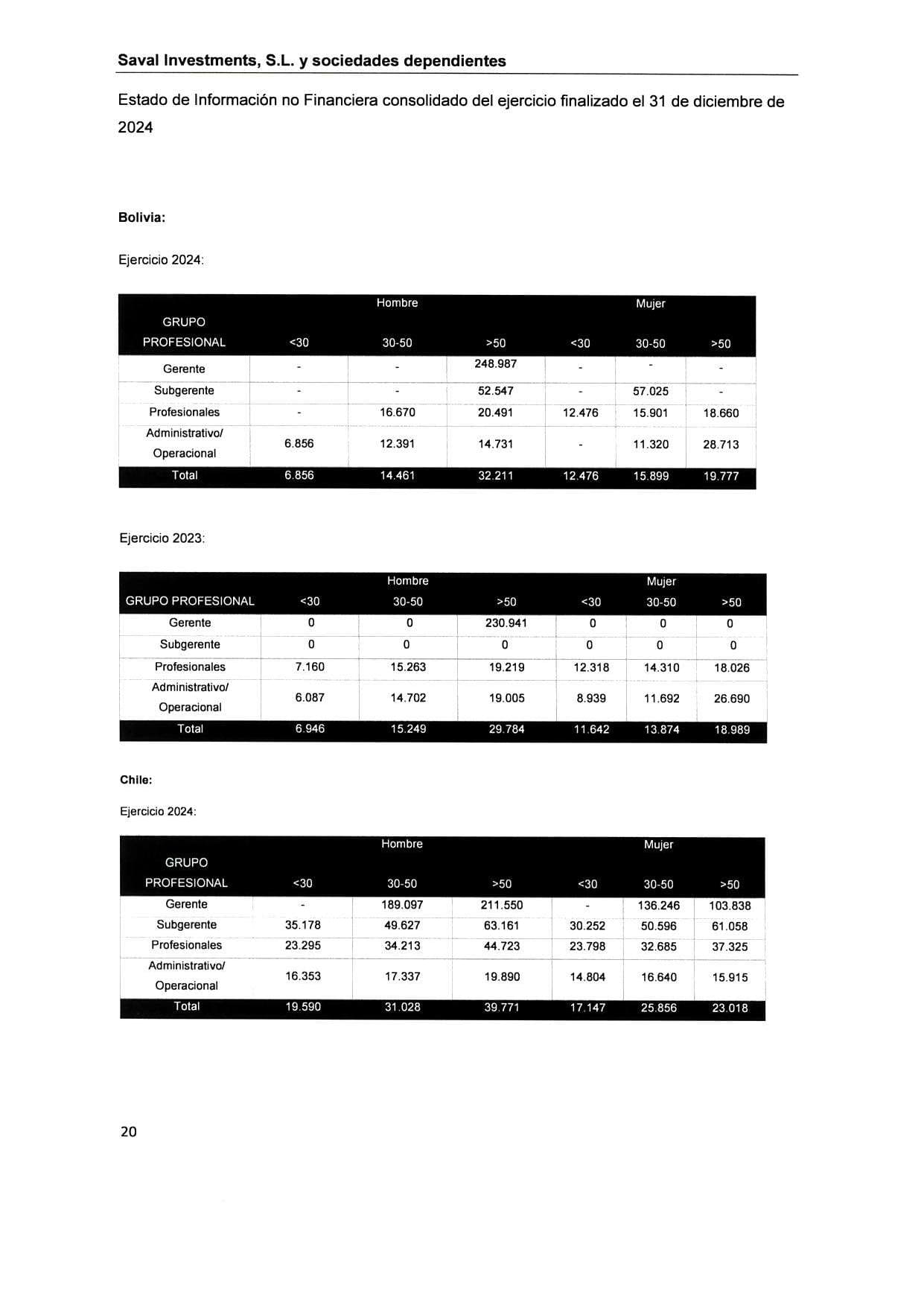 SAVAL Inv - EINF 2024 auditado (Web)_page-0024