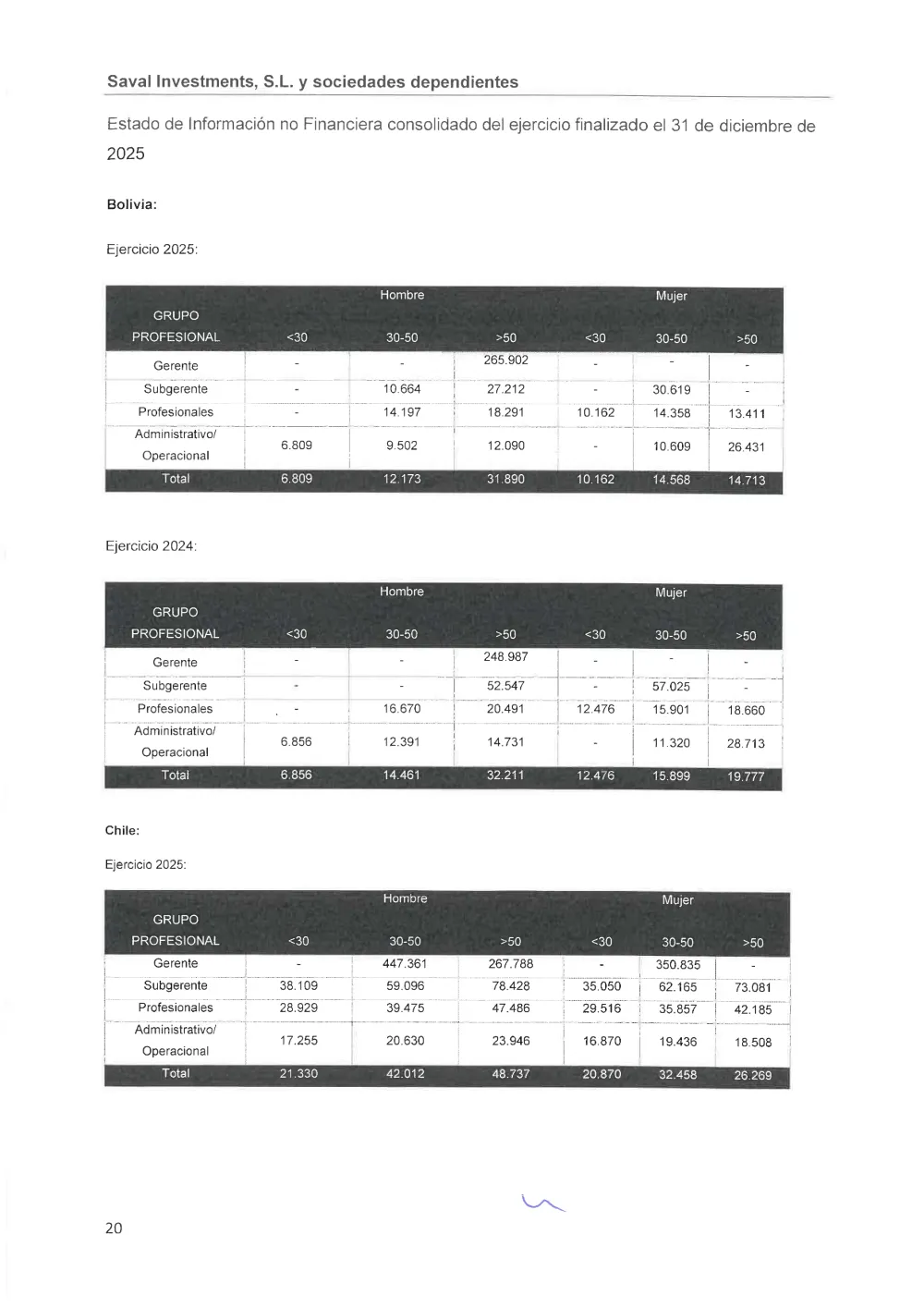 SAVAL Inv - EINF 2025 auditado (Web)_compressed_page-0024